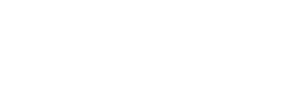 CAMH Logo